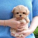 왜관동물병원 이미지