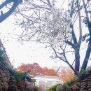 VE스튜디오 이미지