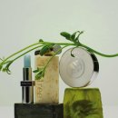 스킨N스칼프 이미지