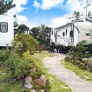 메이 더 카라반 이미지