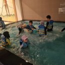 좋은열매 어린이집 이미지