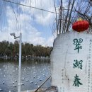 운남그린 이미지