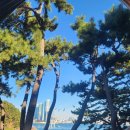 암남공원~두도전망대~용궁구름다리~송도해수욕장~거북섬~남양대교~흰여울문화마을~하늘전망대 이미지