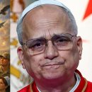 K.T.AN(케이티안) 이미지