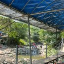 천안 트리하우스 이미지