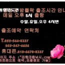 왕뽈락~33cm엄청난조황~퍼담고~끝없이 물어~쿨러만땅만땅 이미지