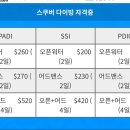 더제이다이브