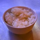 [강남 선릉] 포차 감성 강남 횟집 '새벽밤바다 강남본점' 밤바다 모둠 숙성회와 황제 물회