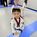 강우 태권도 이미지