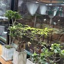 성진빌딩 | 잃어버린 스타일을 찾아서! 산본미용실 유목민 생활 청산 후기