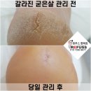 레푸스 평택점 이미지