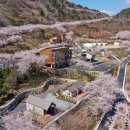 월아산 숲속의 진주 자연휴양림 이미지