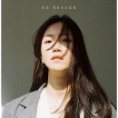 보라(Bora) 티스토리