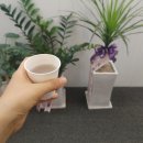 찰꽈도오미자찹쌀꽈배기 구미지사형곡점 | 구미 형곡동 꽈배기, 찰꽈도오미자찹쌀꽈배기 구미지사 #구미 꽈배기 맛집, 구미 단체간식