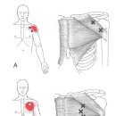 다우한의원 이미지