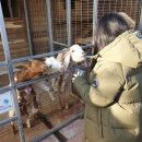 [임산부 태교여행] 파주힐링스팟 퍼스트가든 당일치기..너무행복해쥬금