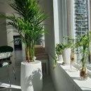 바른자세 운동센터 이미지