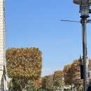 예담건축디자인 | 김호야 보고 싶다