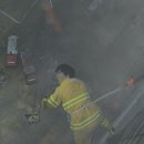 알파그린 이미지