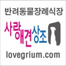 동해애견센터 이미지