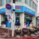 구림면사무소 네이버블로그