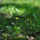 소향공원 이미지