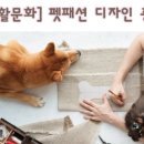 패션디자인(중급) 이미지