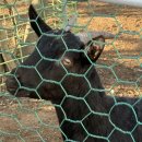 BK승마랜드 | 김해 BK 승마랜드 강추 후기👍✨(ft.내가 승마를...?!🐎)