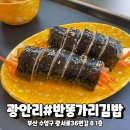 반똥가리김밥 | 광안리분식집 반줄씩 골고루 골라먹는 반똥가리김밥