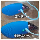 스카이미엔느 2in1 진동클렌저 사용 후기 [내돈내산]