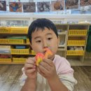 동아유치원 이미지