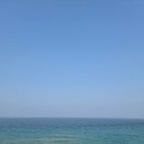 거창목장 | [강릉 여행] 현지인 맛집 아바이 회국수부터 대관령 양떼목장까지 1박 2일 코스 총정리