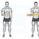 Y-GYM (헬스) 이미지