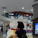쏘이스트