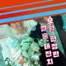 신신인쇄 | 캔바로 청첩장 직접 제작｜성원애드피아 인쇄 400장 3만원대 후기