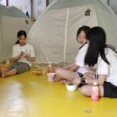 대우태권도 이미지