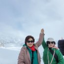 융프라우 이미지