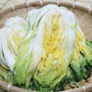 해남농장2 이미지