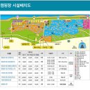 연곡 솔향기 캠핑장 | 강릉 바다 뷰 백패킹 A 구역 명당 A139 후기