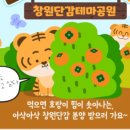 단감나무 집