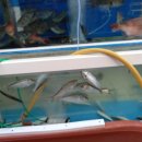 생교경로당 이미지