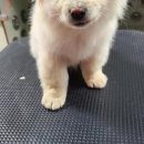 군산시-01116 이미지