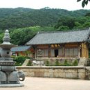 벚꽃테라피