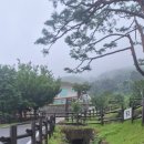 문경새재국민여가캠핑장 | 문경새재국민여가캠핑장