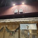 순천식당 | 순천 애견동반 식당 '솔솥' 방문 후기🐶🍚