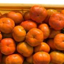 오현농장 이미지