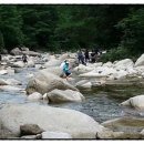 월악초원민박 이미지