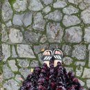 오등체험민박 이미지