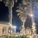 인어 | 🌊 제주 한림 바다뷰 카페 추천｜카페인어 후기