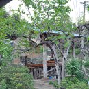 유선농장 이미지